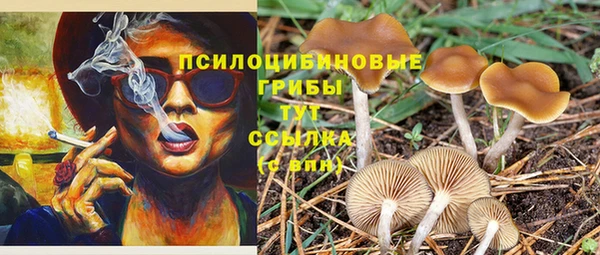 крисы Алзамай