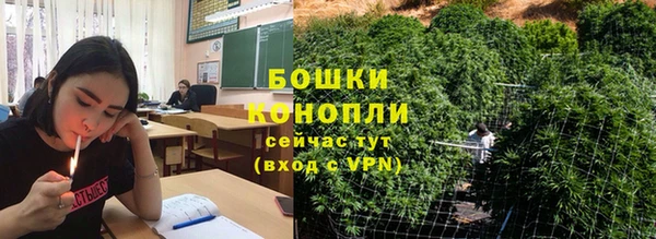молекула духа Алексеевка