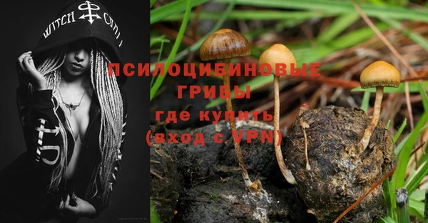 молекула духа Алексеевка