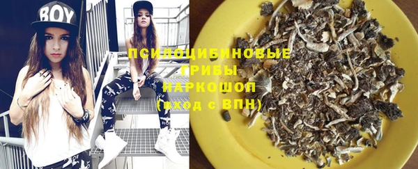 молекула духа Алексеевка