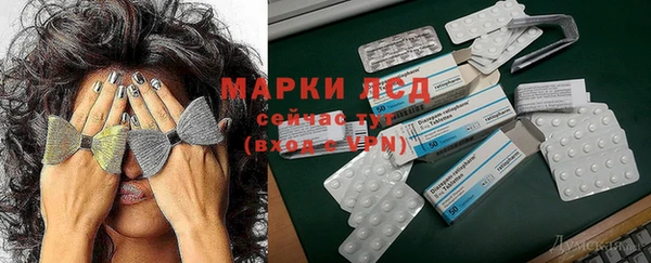 крисы Алзамай