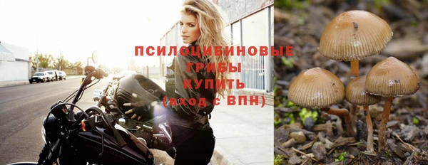 твердый Алексин