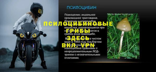твердый Алексин