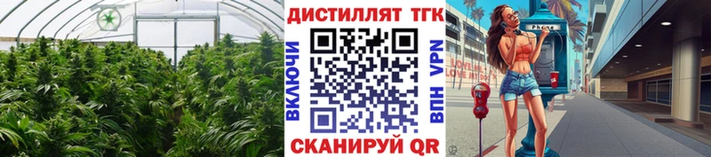 цена   Находка  Дистиллят ТГК THC oil 
