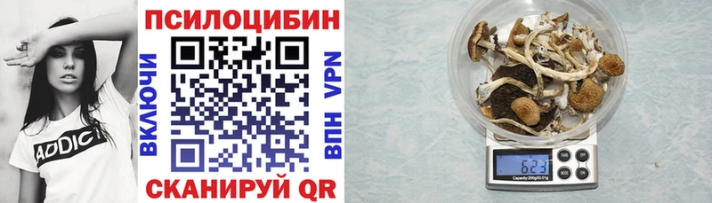 Галлюциногенные грибы прущие грибы  Находка 
